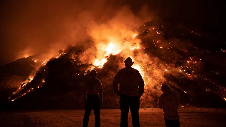 Como e por que acontecem incêndios florestais?