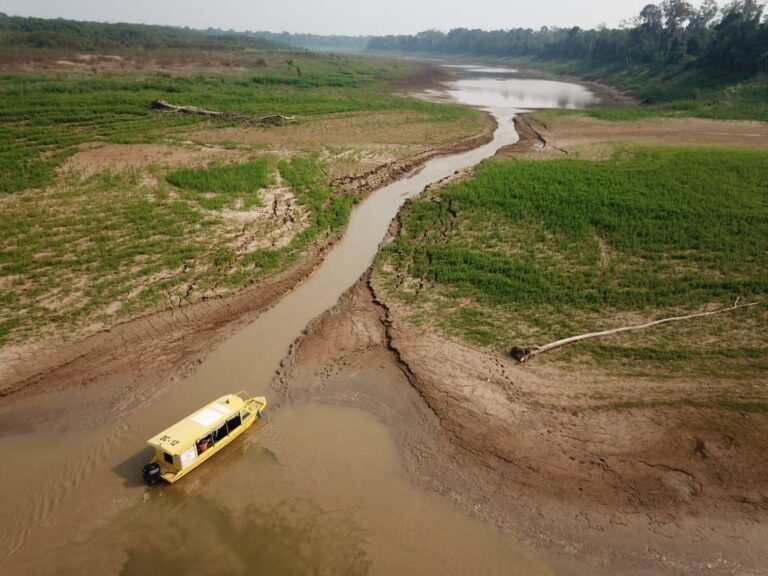 Amazônia perdeu 3,6% da água de rios e lagos em 2024, aponta relatório Amazônia perdeu 3,6% da água de rios e lagos em 2024, aponta relatório