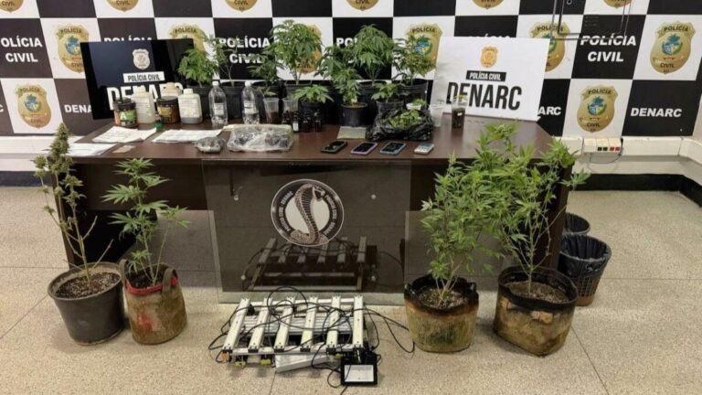 Laboratório de maconha usado na produção de óleo e shampoo é fechado em GO Laboratório de maconha usado na produção de óleo e shampoo é fechado em GO