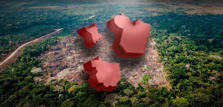Amazônia teve perda florestal de 425 campos de futebol em fevereiro