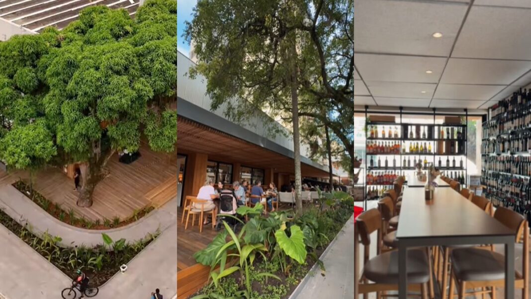 Novo empreendimento em rua “queridinha” de Florianópolis vira ponto badalado Novo empreendimento em rua “queridinha” de Florianópolis vira ponto badalado