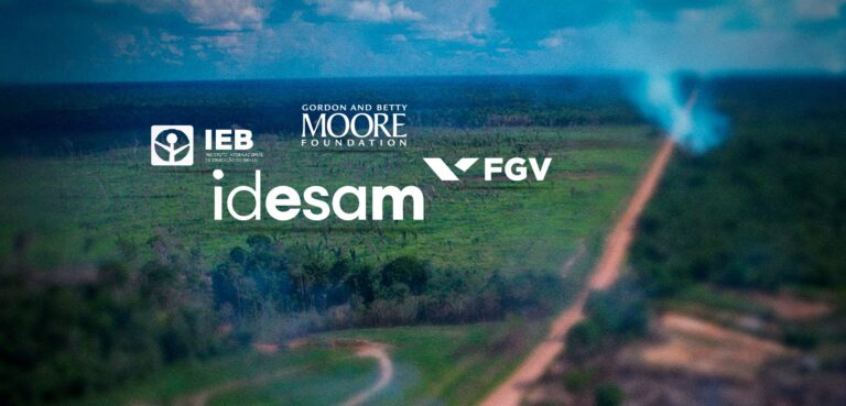 BR-319: entenda repasses da Moore Foundation a ONGs e instituições