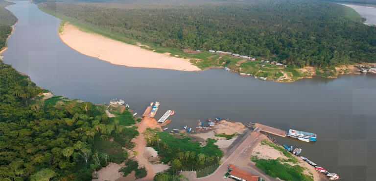 MPF suspende projeto de crédito de carbono no Amazonas após denúncias