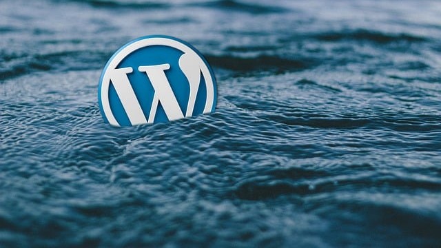 Risco no ecossistema WordPress cresce 34%