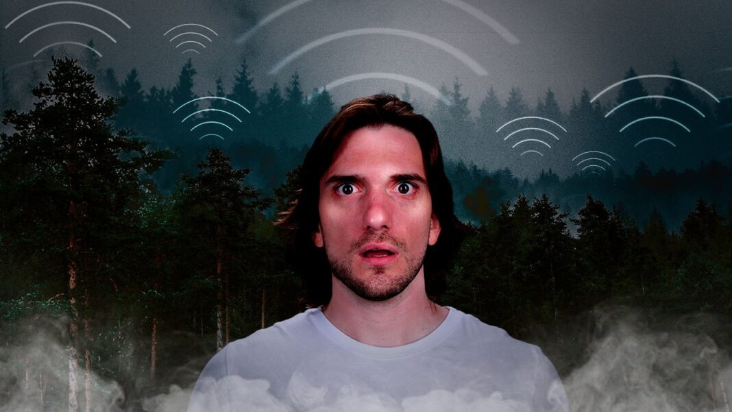 A Floresta Negra da Internet EXPLICADA A Floresta Negra da Internet EXPLICADA