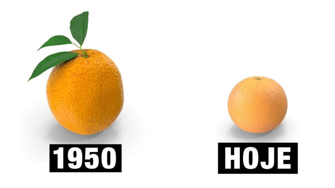 Por que os ALIMENTOS estão ficando MENOS nutritivos? Por que os ALIMENTOS estão ficando MENOS nutritivos?