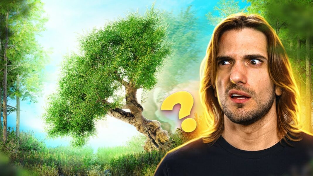 Se uma ÁRVORE cai em uma floresta, ela faz BARULHO? Se uma ÁRVORE cai em uma floresta, ela faz BARULHO?