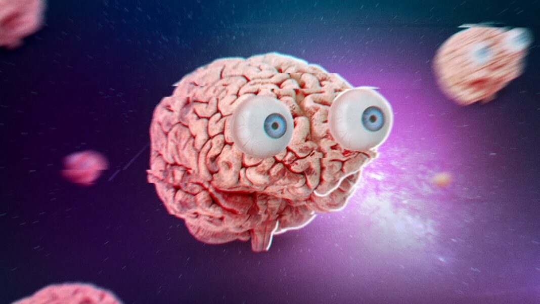 Você é um Cérebro de Boltzmann? Você é um Cérebro de Boltzmann?