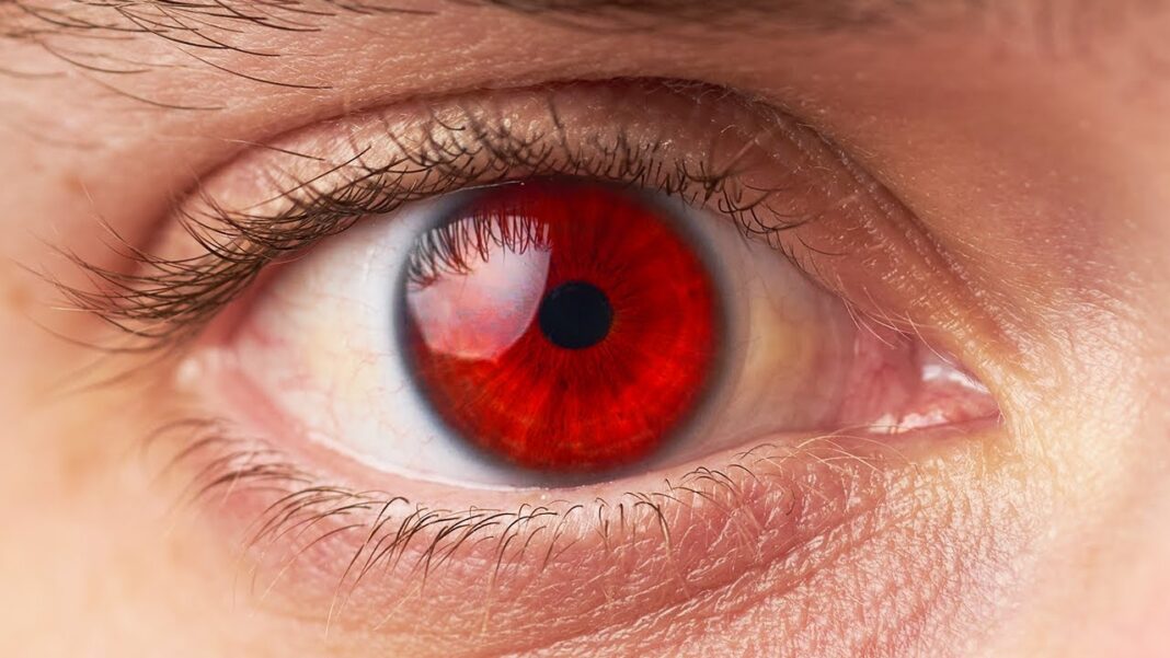 O meu vermelho é o mesmo que o seu? O meu vermelho é o mesmo que o seu?