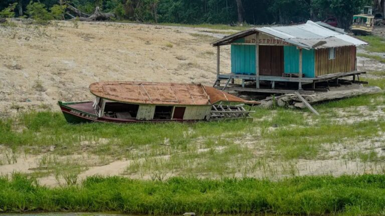 Fundo indígena premiará projetos para atenuar mudanças climáticas Fundo indígena premiará projetos para atenuar mudanças climáticas