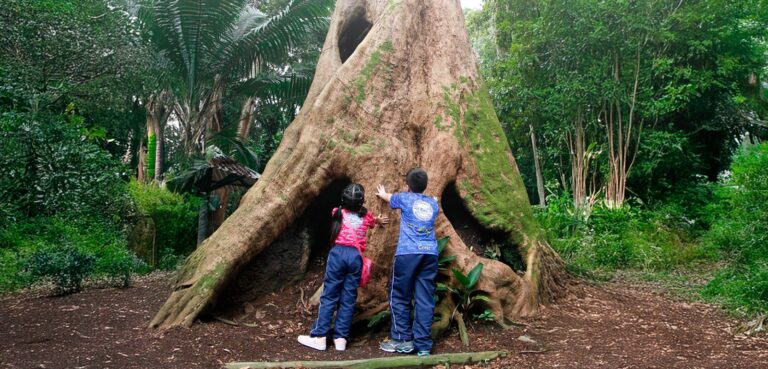 30 anos de compromisso com a ciência na Amazônia