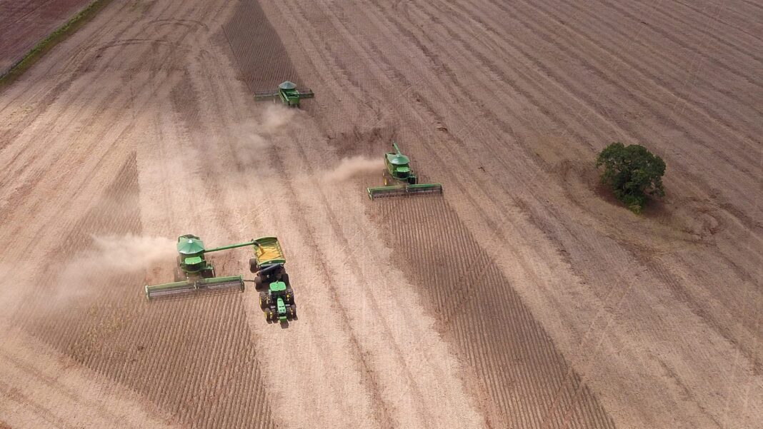 MT lidera produção agrícola, mas capital Cuiabá tem 5ª cesta básica mais cara do país MT lidera produção agrícola, mas capital Cuiabá tem 5ª cesta básica mais cara do país