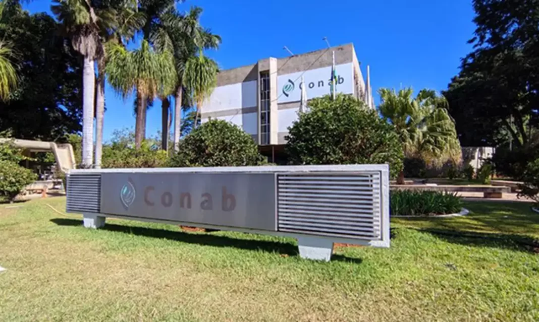 Conab denuncia golpe no RS para extorquir vítimas da enchente Conab denuncia golpe no RS para extorquir vítimas da enchente