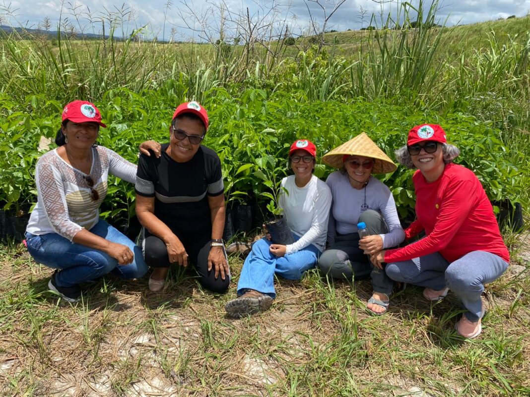 MST abre assentamento no Grande Recife para voluntários conhecerem o movimento e plantarem alimentos que serão doados; veja como participar MST abre assentamento no Grande Recife para voluntários conhecerem o movimento e plantarem alimentos que serão doados; veja como participar
