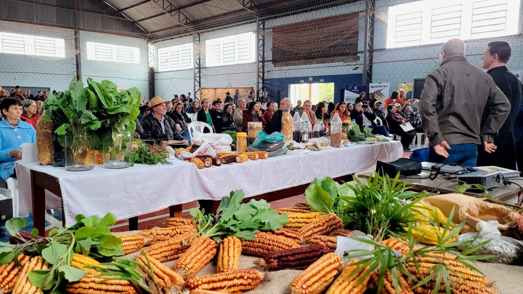 Encontro de sementes crioulas partilha vida em cidade gaúcha atingida por enchentes Encontro de sementes crioulas partilha vida em cidade gaúcha atingida por enchentes