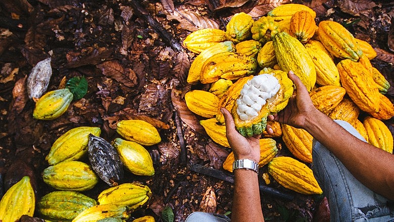 Edital de convocação para Assembleia Geral Extraordinária da COOPECAFBA Edital de convocação para Assembleia Geral Extraordinária da COOPECAFBA