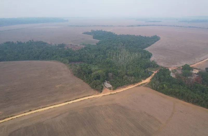 Com avanço do agro, Brasil perdeu área do tamanho da Bolívia de vegetação nativa em 40 anos Com avanço do agro, Brasil perdeu área do tamanho da Bolívia de vegetação nativa em 40 anos