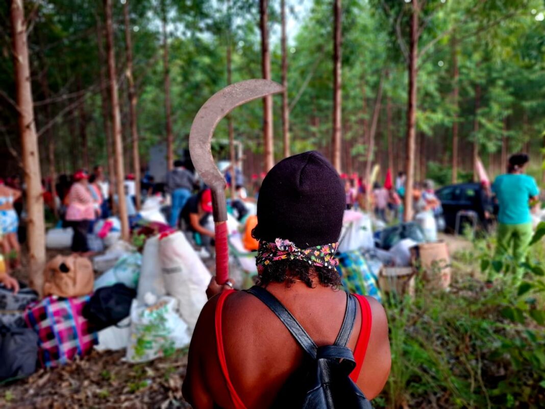Preconceito e dignidade: a luta dos agricultores sem terra Preconceito e dignidade: a luta dos agricultores sem terra