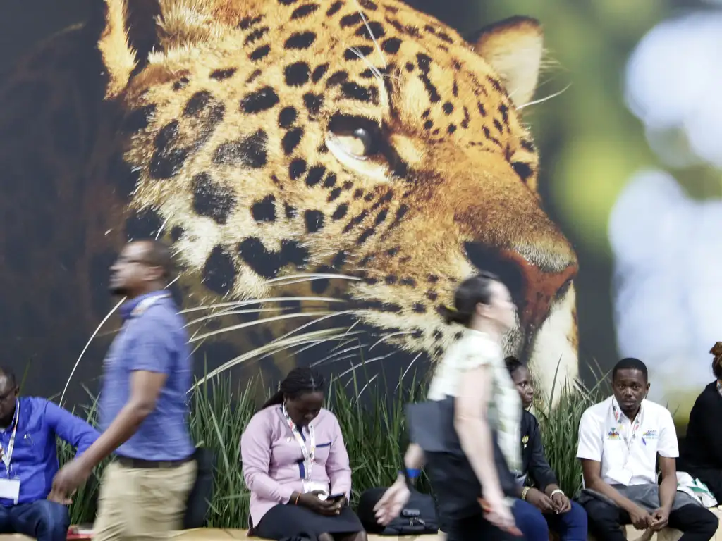 Presidente da COP30 convoca países a buscar consenso em reta final Presidente da COP30 convoca países a buscar consenso em reta final