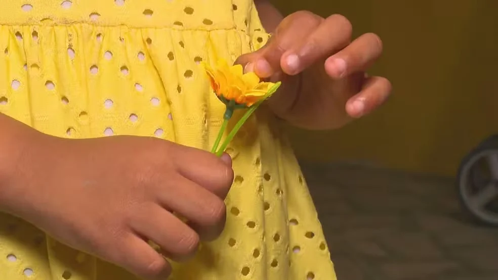 Uma flor amarela – ICL Notícias Uma flor amarela – ICL Notícias