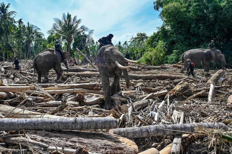 Economia verde pode render US$ 20 trilhões anuais em 2070 e salvar milhões, diz ONU Economia verde pode render US$ 20 trilhões anuais em 2070 e salvar milhões, diz ONU