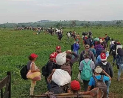 Famílias do acampamento Terra e Liberdade, no Pará, vivem risco de despejo violento às vésperas do Natal Famílias do acampamento Terra e Liberdade, no Pará, vivem risco de despejo violento às vésperas do Natal