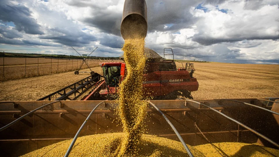 Tarifas ainda pesam, mas exportações do agronegócio crescem Tarifas ainda pesam, mas exportações do agronegócio crescem