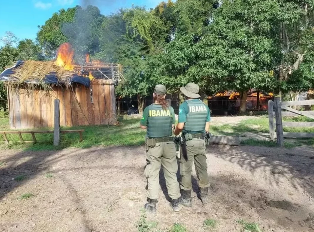 Brasil dobra o número de assassinatos no campo em 2025 Brasil dobra o número de assassinatos no campo em 2025