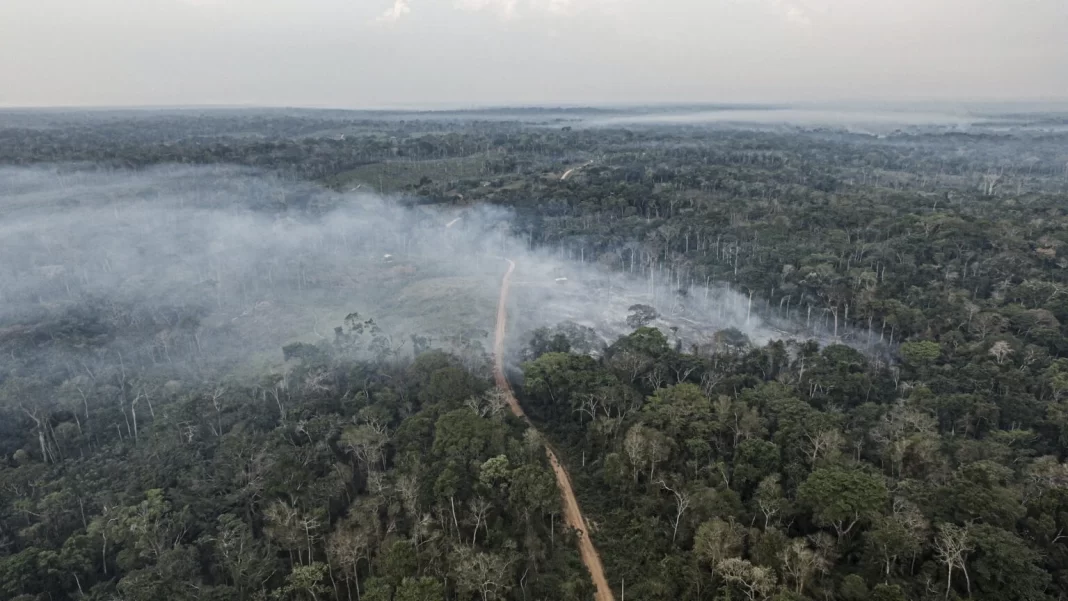 Líder em desmate, RO recebe 1 a cada 3 máquinas pesadas pagas com emendas na Amazônia Líder em desmate, RO recebe 1 a cada 3 máquinas pesadas pagas com emendas na Amazônia