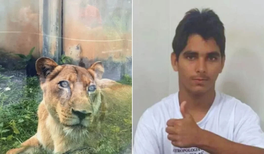 Jovem morto em zoo tinha transtornos mentais e queria cuidar de leões na África, diz conselheira tutelar Jovem morto em zoo tinha transtornos mentais e queria cuidar de leões na África, diz conselheira tutelar