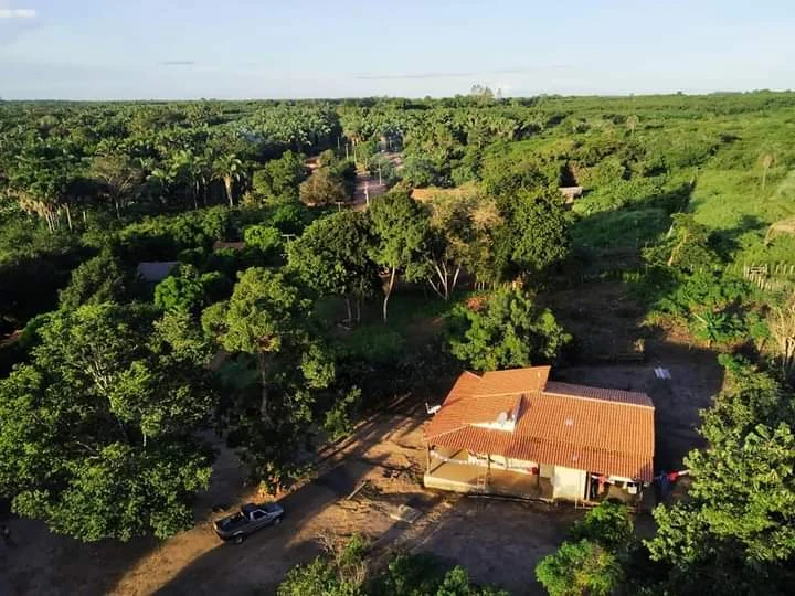 Quilombolas enfrentam fogo, seca e agrotóxicos sob ameaça de morte no Maranhão Quilombolas enfrentam fogo, seca e agrotóxicos sob ameaça de morte no Maranhão