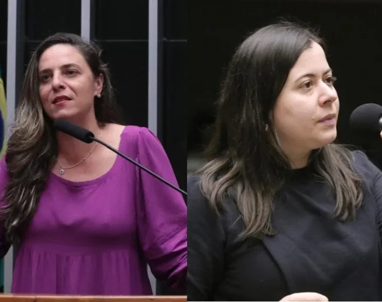Melchionna e Sâmia propõem acolhimento a vítimas de violência doméstica em empresas Melchionna e Sâmia propõem acolhimento a vítimas de violência doméstica em empresas