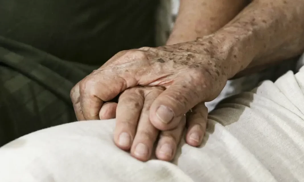 Estudo brasileiro identifica potencial do veneno de marimbondo contra o Alzheimer Estudo brasileiro identifica potencial do veneno de marimbondo contra o Alzheimer