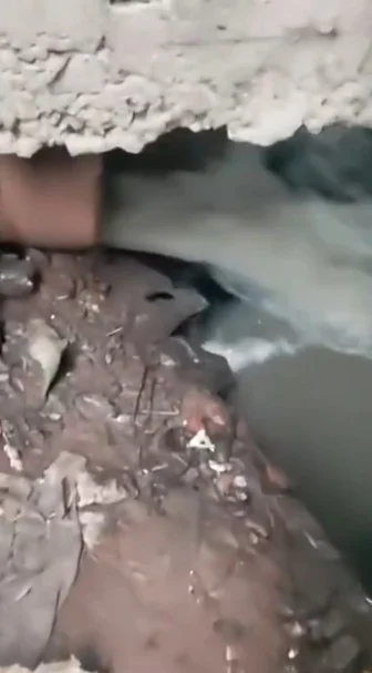 Represa Billings recebe despejo de esgoto de encanamento da Sabesp na zona sul de SP Represa Billings recebe despejo de esgoto de encanamento da Sabesp na zona sul de SP