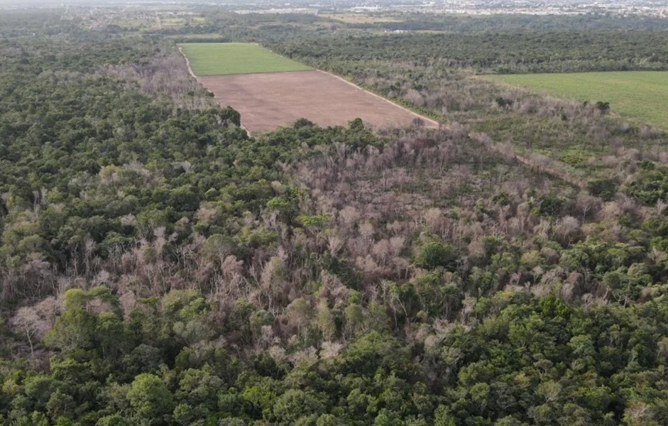 Banco Votorantim tenta anular multa por incêndio florestal na Mata Atlântica Banco Votorantim tenta anular multa por incêndio florestal na Mata Atlântica