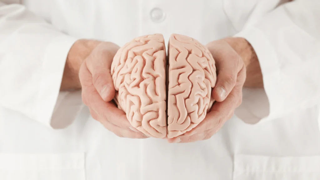 Saiba quais alimentos contêm a ‘vitamina do ouro’ para o cérebro Saiba quais alimentos contêm a ‘vitamina do ouro’ para o cérebro