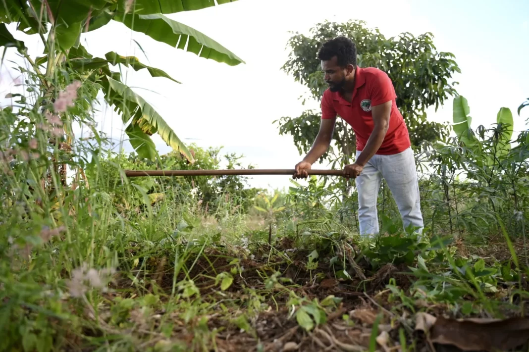 Depois de 64 anos, área onde surgiu as Ligas Camponesas na Paraíba é regularizada Depois de 64 anos, área onde surgiu as Ligas Camponesas na Paraíba é regularizada