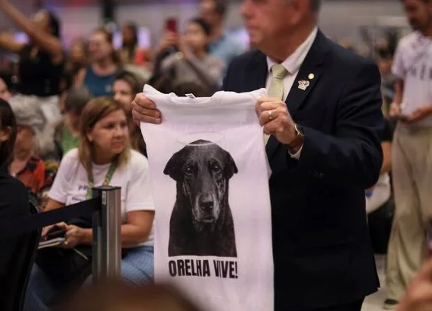 Em decreto ‘Justiça por Orelha’, governo Lula eleva multas por maus-tratos a animais Em decreto ‘Justiça por Orelha’, governo Lula eleva multas por maus-tratos a animais