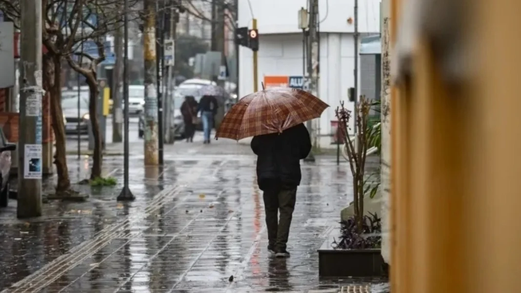 El Niño pode ser forte e começar nos próximos meses, diz ONU El Niño pode ser forte e começar nos próximos meses, diz ONU