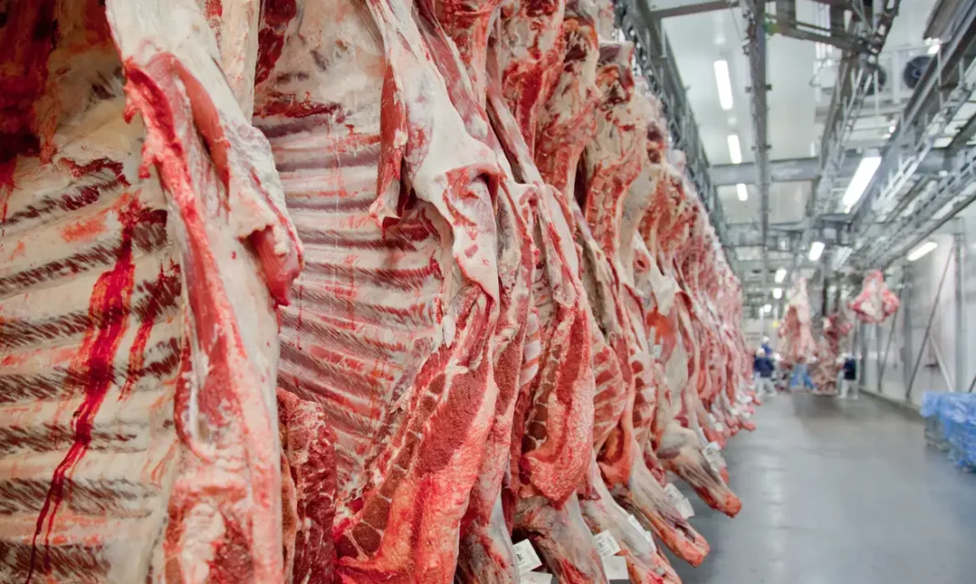 Ministério sabia que Brasil não atendia a exigências da UE para exportar carnes Ministério sabia que Brasil não atendia a exigências da UE para exportar carnes
