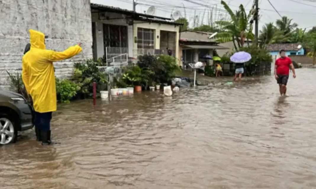 Chuvas em Pernambuco causam deslocamento de 9,4 mil pessoas Chuvas em Pernambuco causam deslocamento de 9,4 mil pessoas