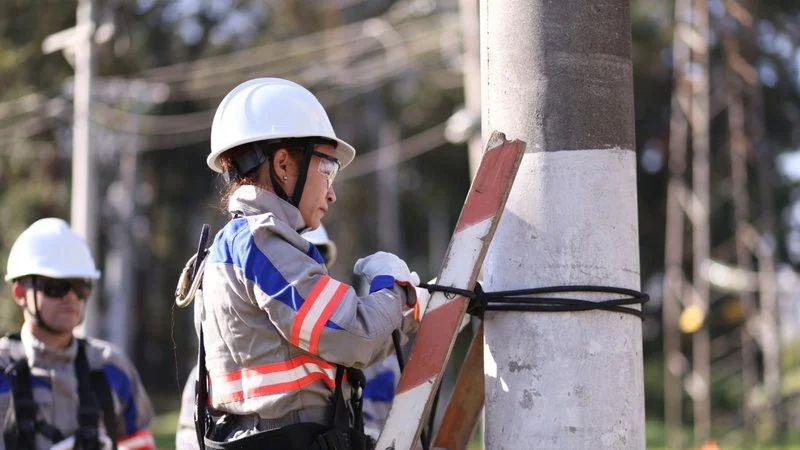 Enel pede perícia técnica à Aneel em processo que pode levar ao fim da concessão em São Paulo Enel pede perícia técnica à Aneel em processo que pode levar ao fim da concessão em São Paulo