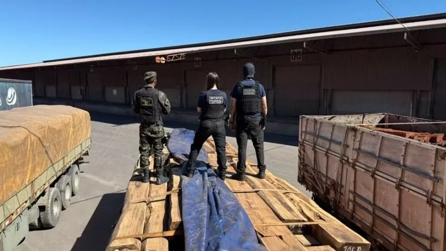 Apreensão de cocaína em carga de madeira pode ser a maior do Brasil Apreensão de cocaína em carga de madeira pode ser a maior do Brasil