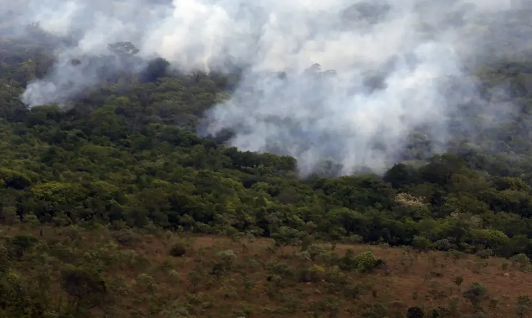 Copernicus: emissão global de gases por incêndios é a menor em 24 anos Copernicus: emissão global de gases por incêndios é a menor em 24 anos