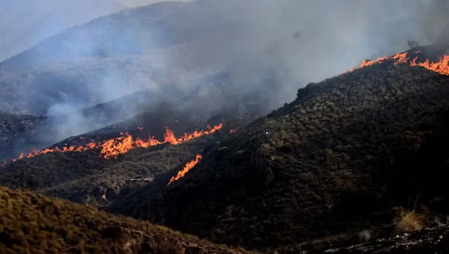 Incêndios florestais desafiam França e Espanha Incêndios florestais desafiam França e Espanha