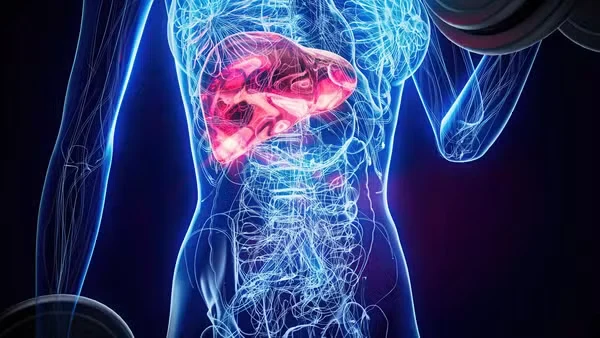 Veja os sete melhores alimentos para cuidar do fígado e prevenir doenças Veja os sete melhores alimentos para cuidar do fígado e prevenir doenças