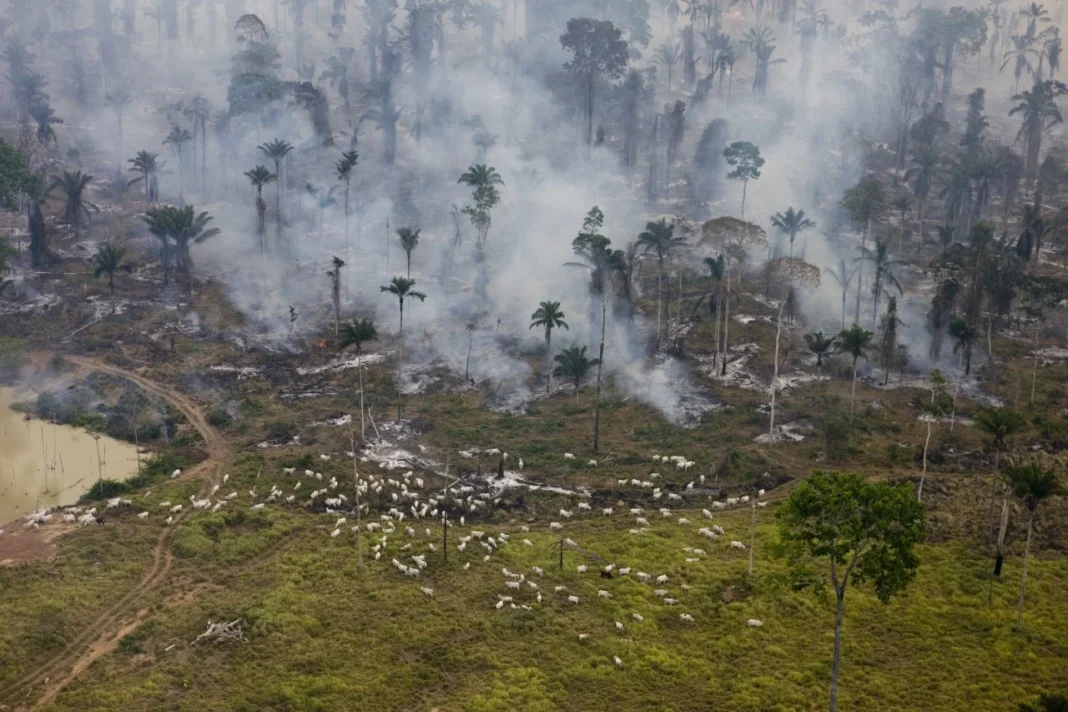 O próximo alvo do Congresso: áreas de proteção ambiental O próximo alvo do Congresso: áreas de proteção ambiental