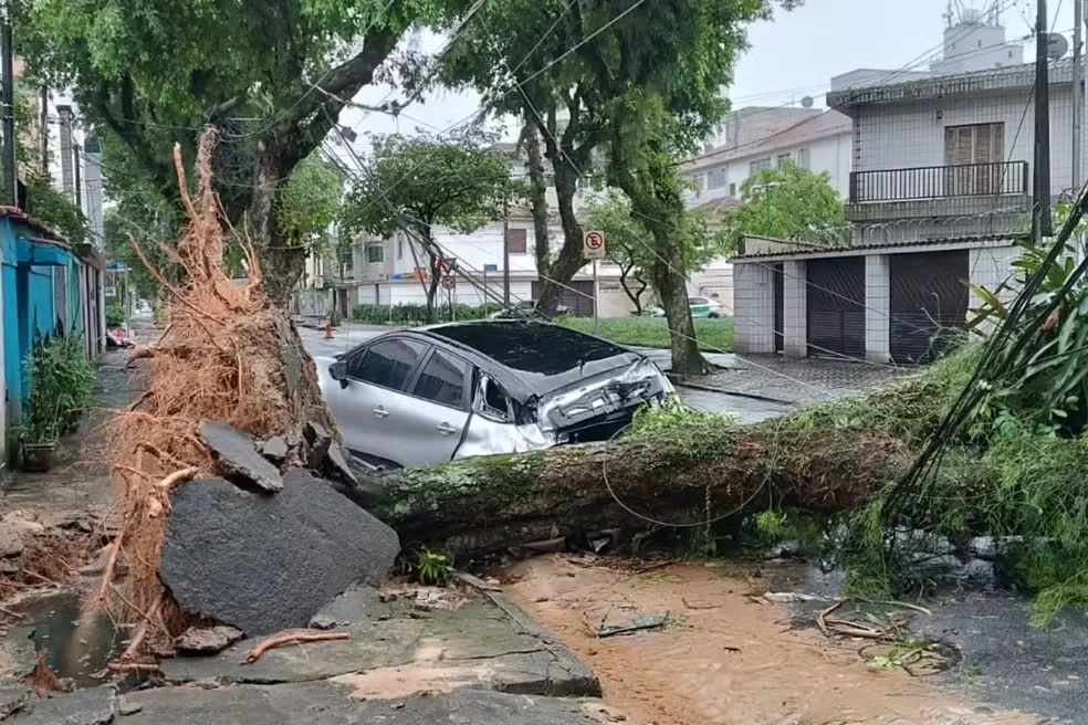 Vendaval mata homem e fecha Porto de Santos após rajadas de 100 km/h Vendaval mata homem e fecha Porto de Santos após rajadas de 100 km/h