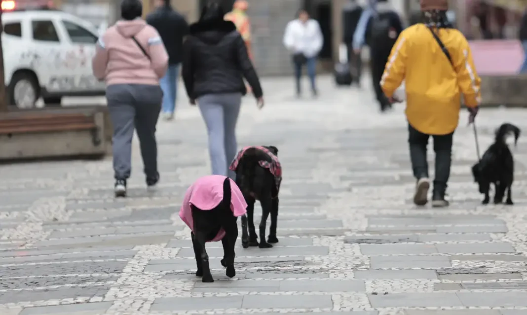 Nova frente fria avança com chuva forte e frio no Sul e SE Nova frente fria avança com chuva forte e frio no Sul e SE