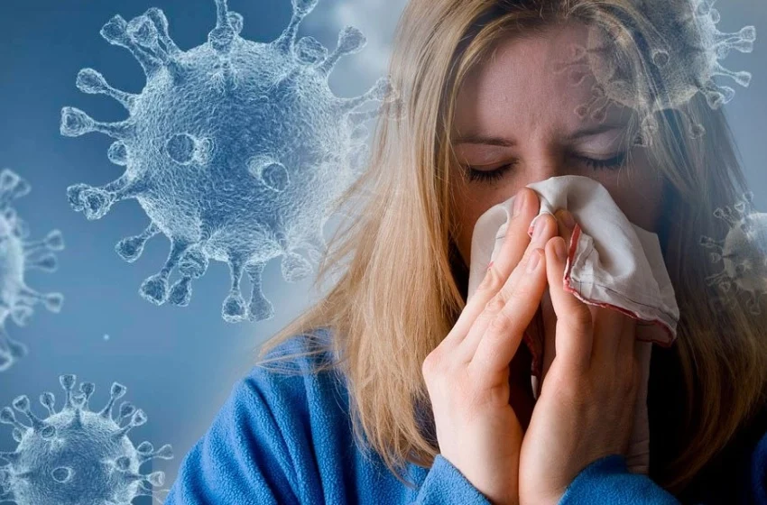 Fruta ajuda a aliviar os sintomas da gripe Fruta ajuda a aliviar os sintomas da gripe